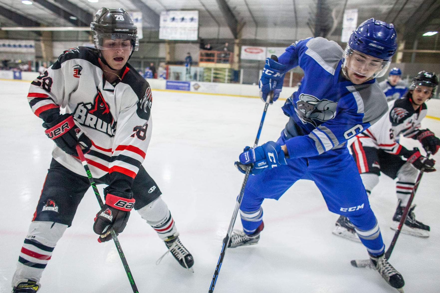 BruinsHockey_DigginsJPG-17.jpg